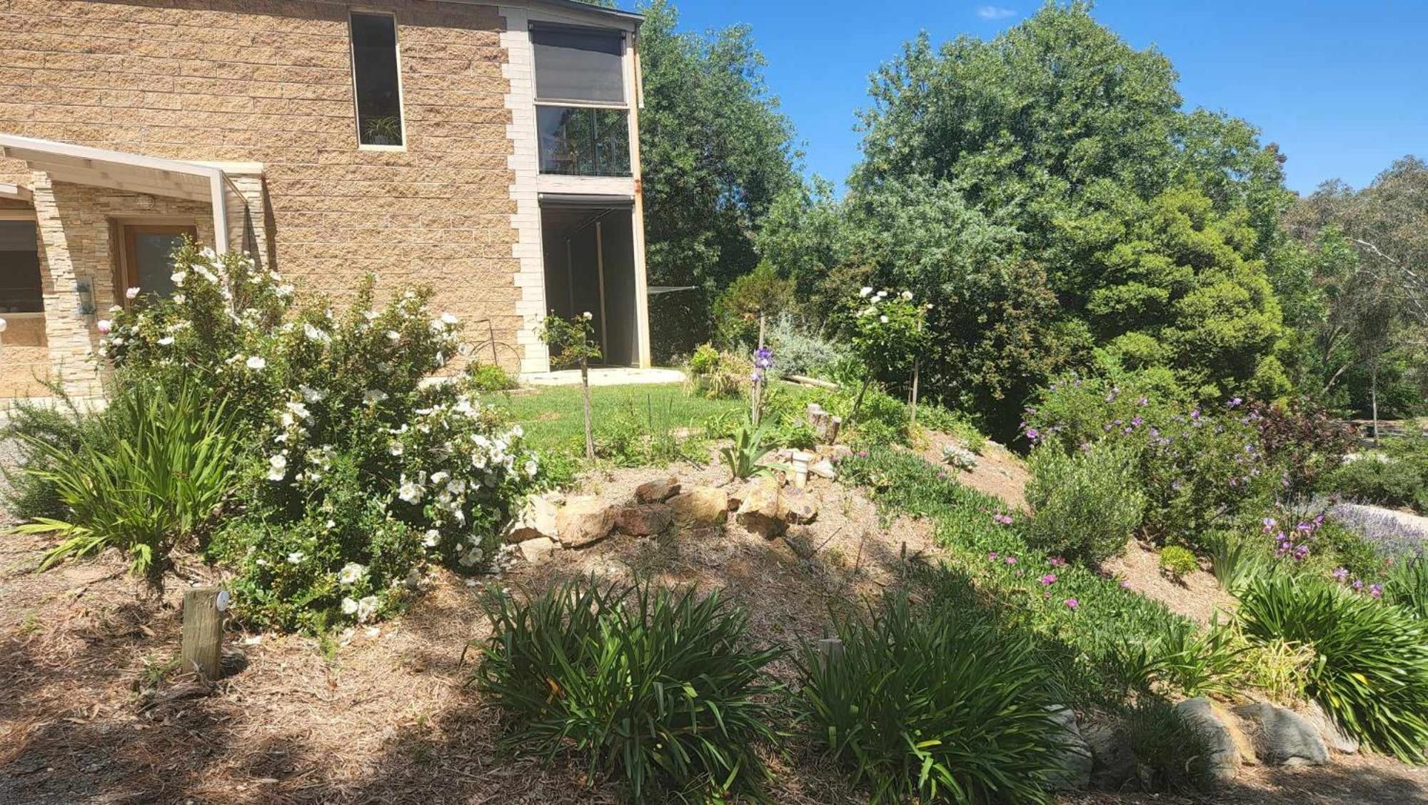 Riesling Trail & Clare Valley Cottages Habitación foto